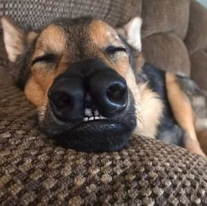 Meet your Posher, Elisa